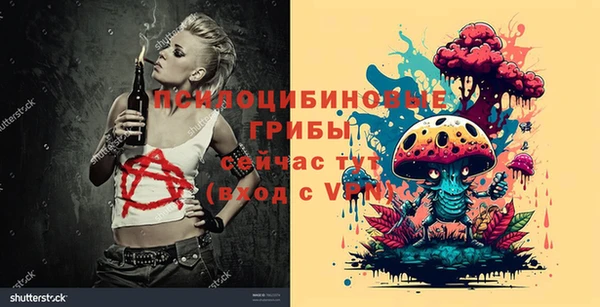 спиды Дмитров
